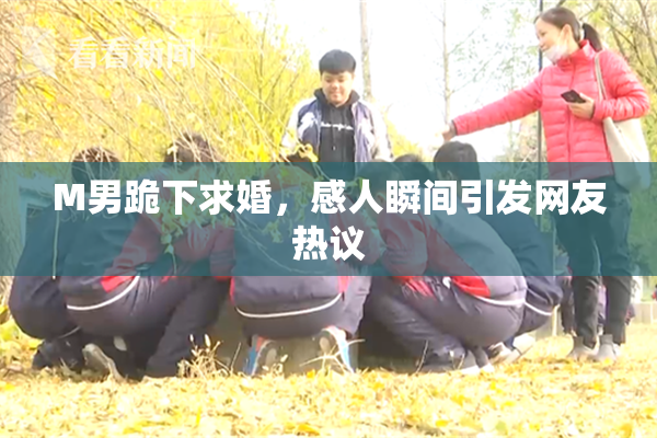 M男跪下求婚，感人瞬间引发网友热议