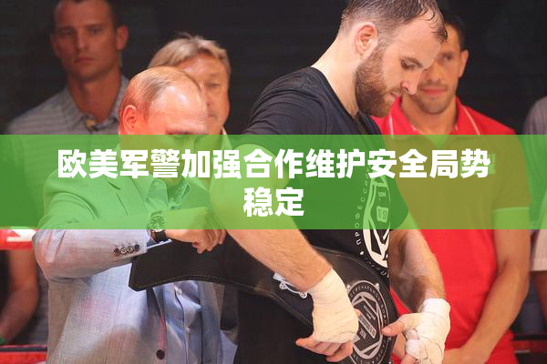 欧美军警加强合作维护安全局势稳定