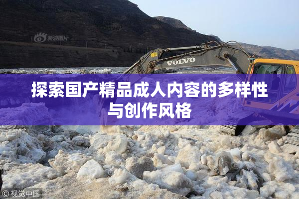 探索国产精品成人内容的多样性与创作风格