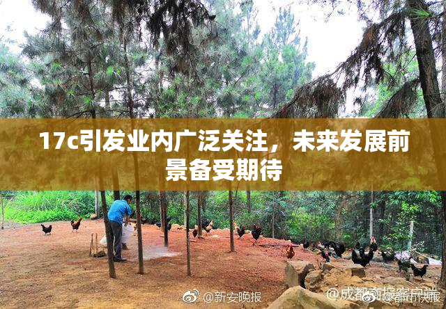 17c引发业内广泛关注，未来发展前景备受期待