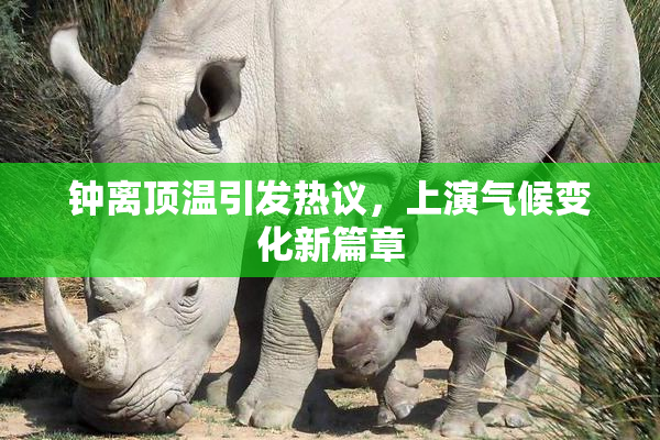钟离顶温引发热议，上演气候变化新篇章