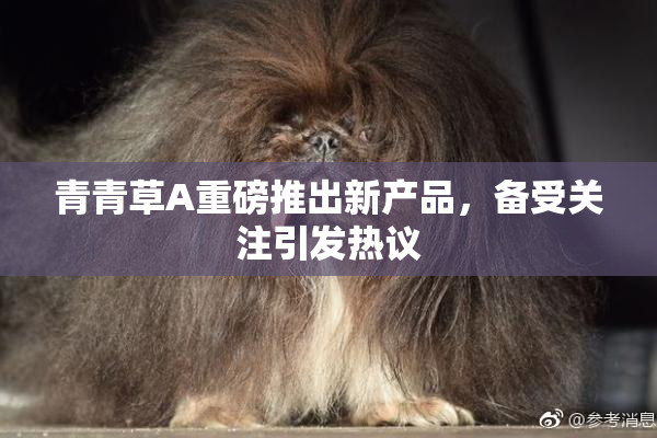 青青草A重磅推出新产品，备受关注引发热议