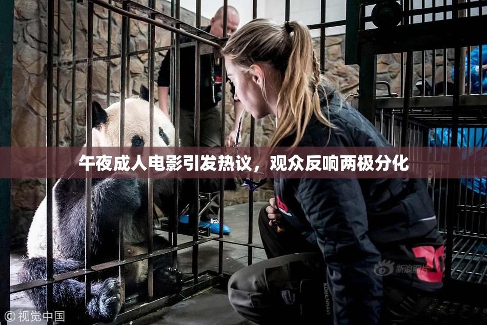 午夜成人电影引发热议，观众反响两极分化