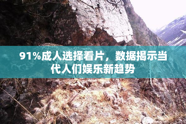 91%成人选择看片，数据揭示当代人们娱乐新趋势