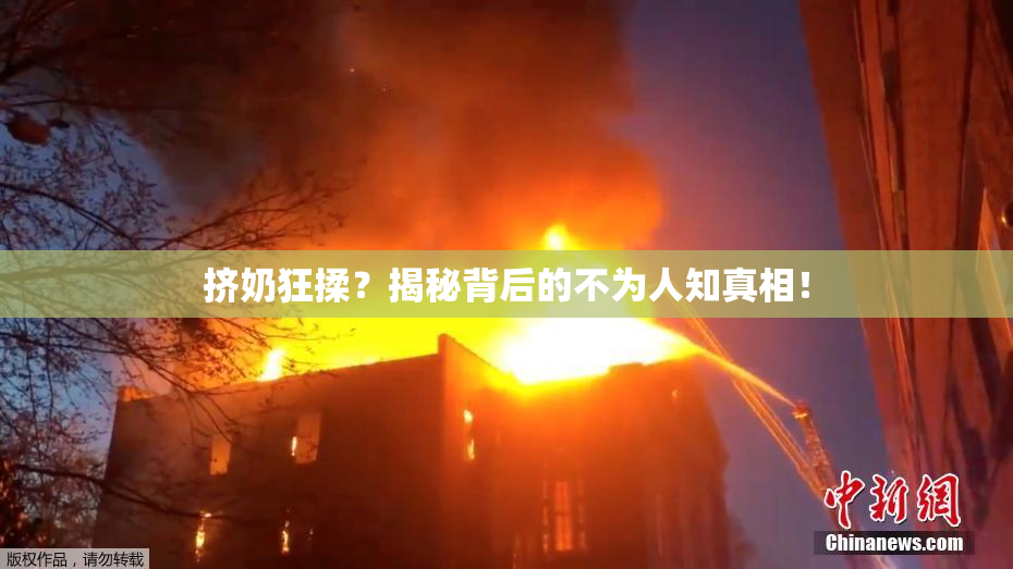 挤奶狂揉？揭秘背后的不为人知真相！