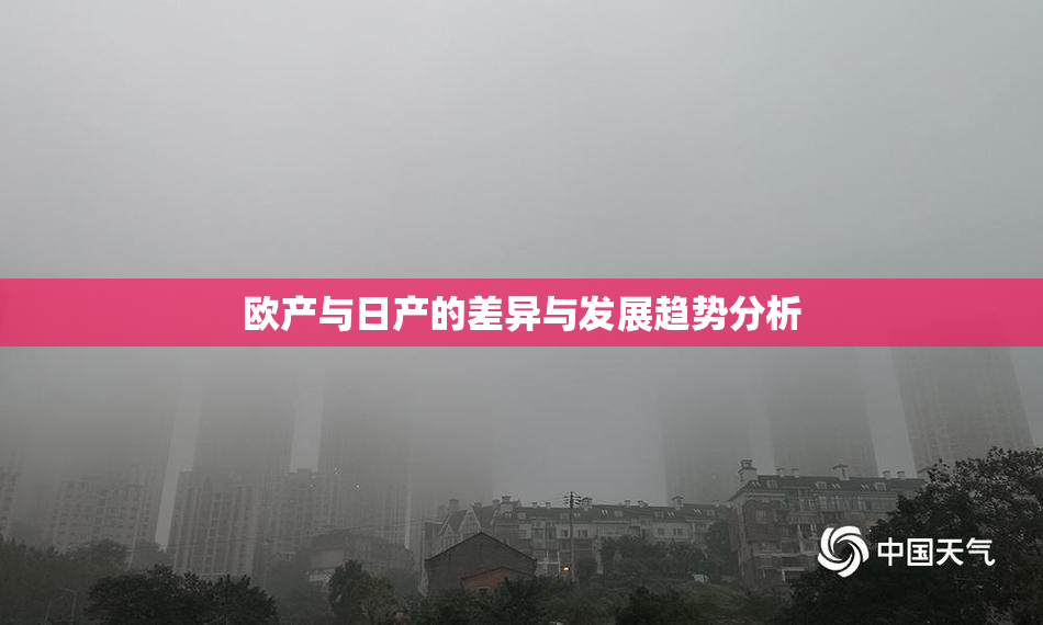 欧产与日产的差异与发展趋势分析