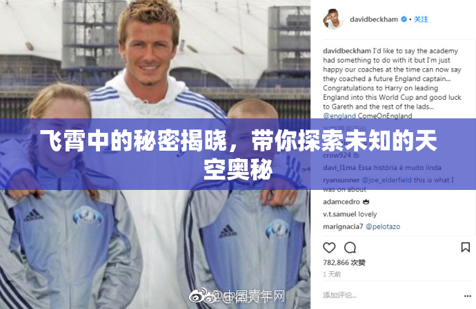 飞霄中的秘密揭晓，带你探索未知的天空奥秘