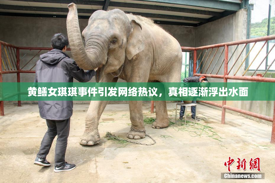 黄鳝女琪琪事件引发网络热议，真相逐渐浮出水面