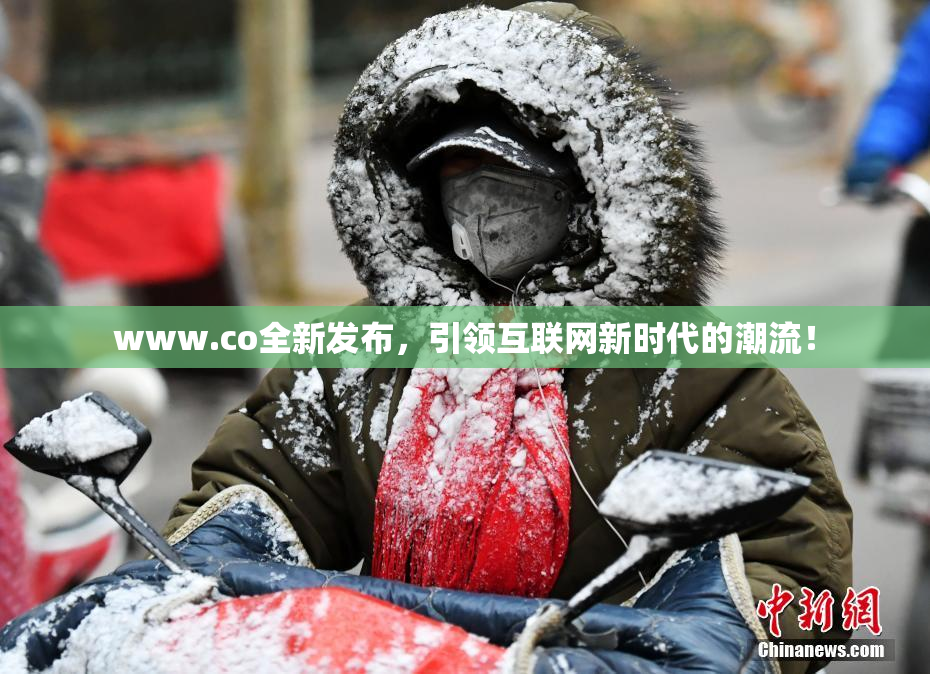 www.co全新发布，引领互联网新时代的潮流！