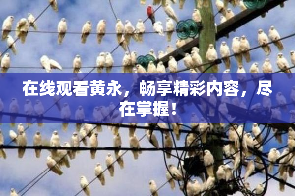 在线观看黄永，畅享精彩内容，尽在掌握！
