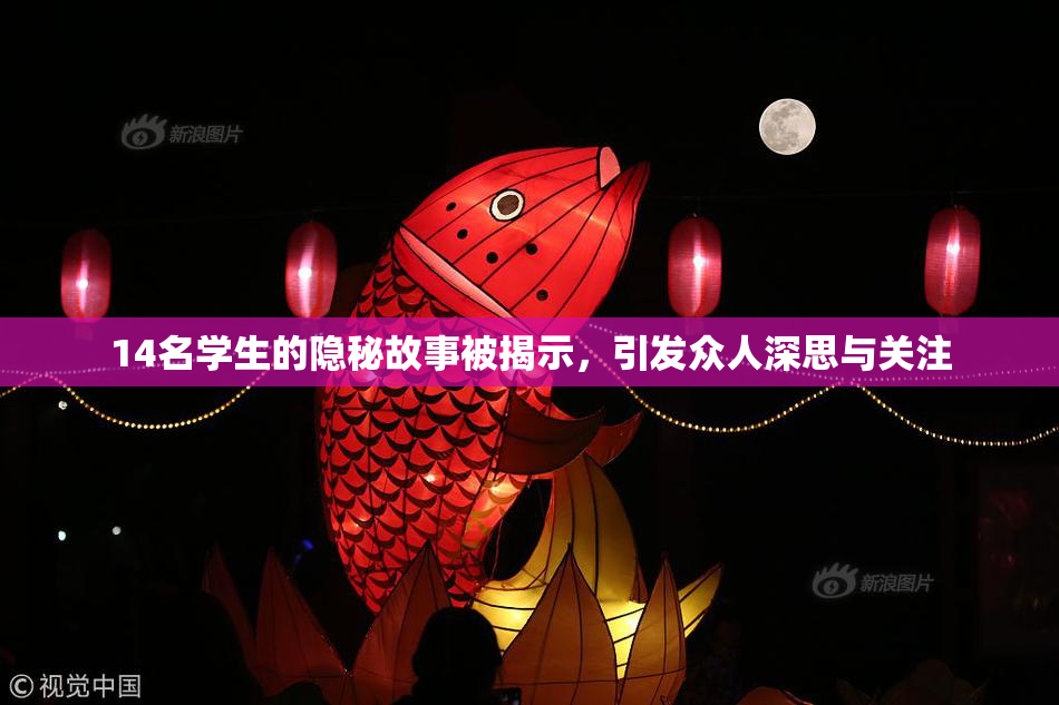 14名学生的隐秘故事被揭示，引发众人深思与关注