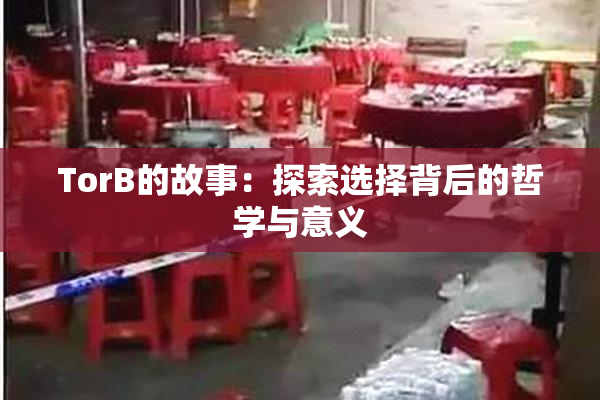 TorB的故事：探索选择背后的哲学与意义