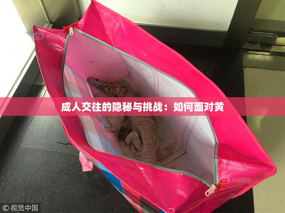 成人交往的隐秘与挑战：如何面对黄