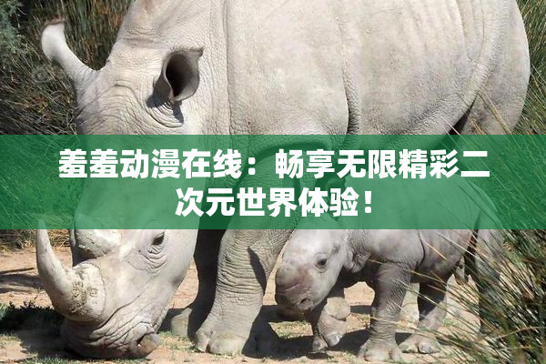 羞羞动漫在线：畅享无限精彩二次元世界体验！