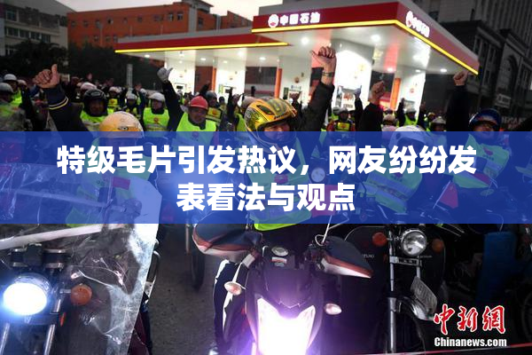 特级毛片引发热议，网友纷纷发表看法与观点