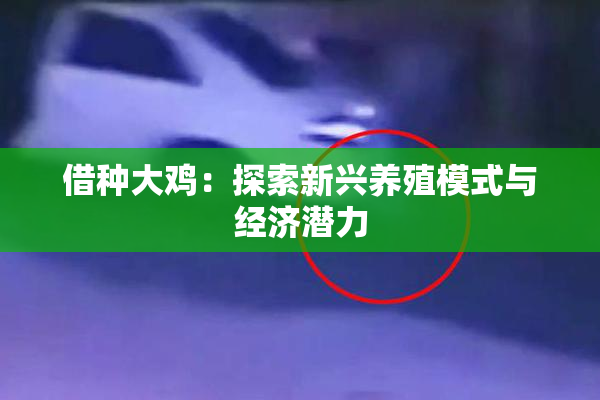 借种大鸡：探索新兴养殖模式与经济潜力