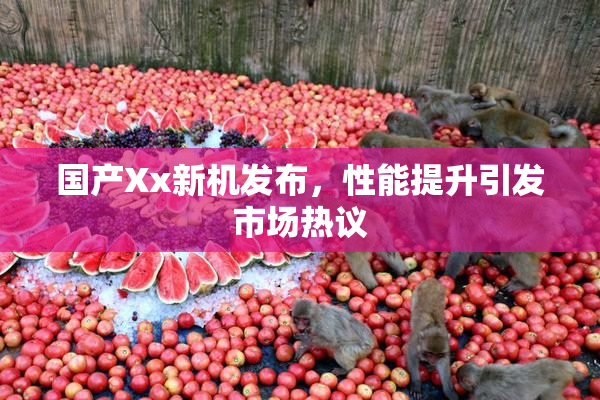 国产Xx新机发布，性能提升引发市场热议