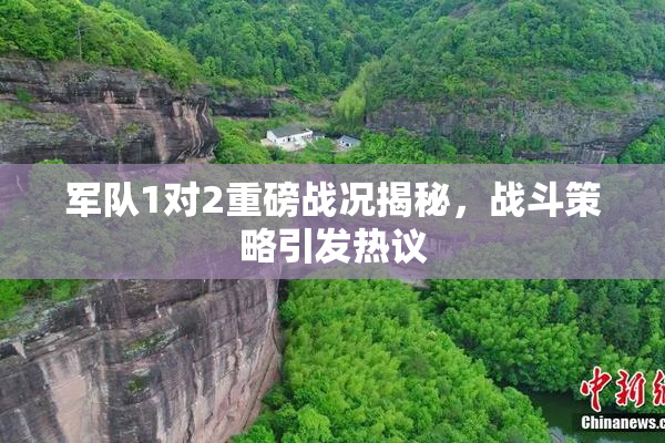 军队1对2重磅战况揭秘，战斗策略引发热议