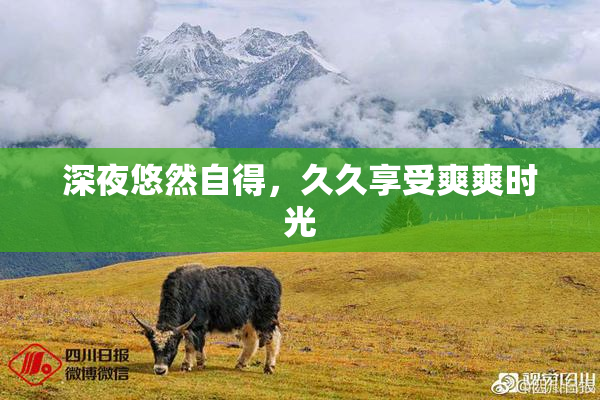 深夜悠然自得，久久享受爽爽时光