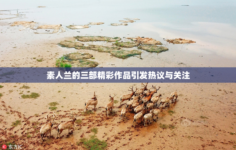 素人兰的三部精彩作品引发热议与关注