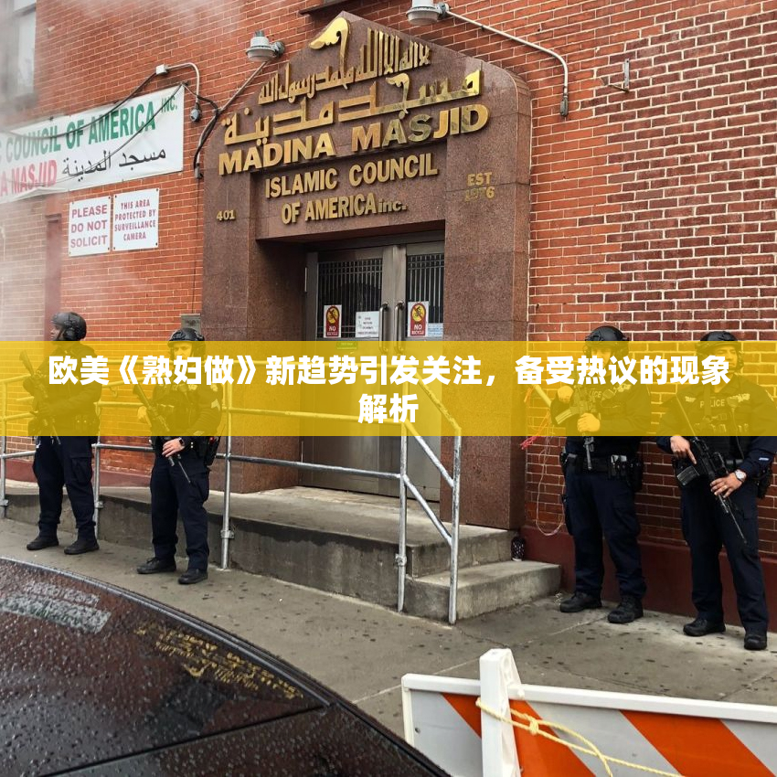欧美《熟妇做》新趋势引发关注，备受热议的现象解析