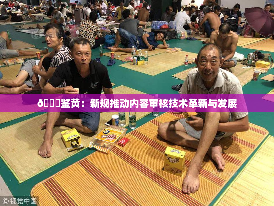 🔞鉴黄：新规推动内容审核技术革新与发展