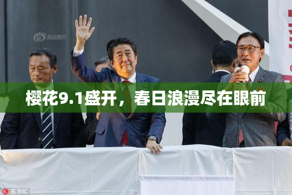 樱花9.1盛开，春日浪漫尽在眼前