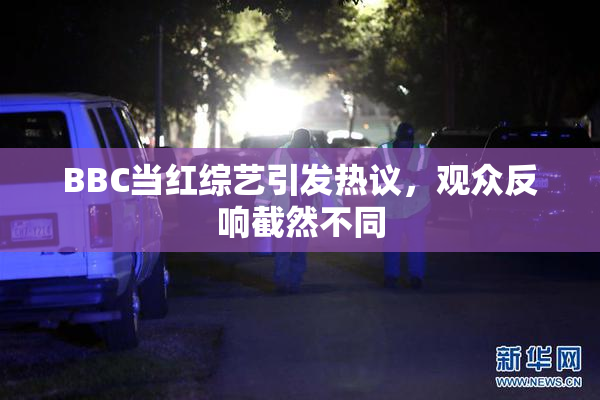 BBC当红综艺引发热议，观众反响截然不同