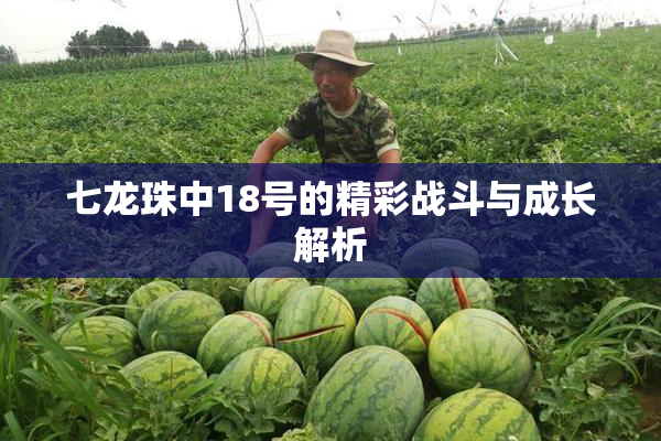 七龙珠中18号的精彩战斗与成长解析