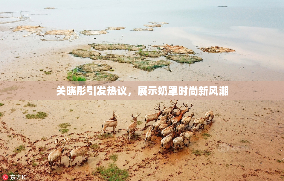 关晓彤引发热议，展示奶罩时尚新风潮