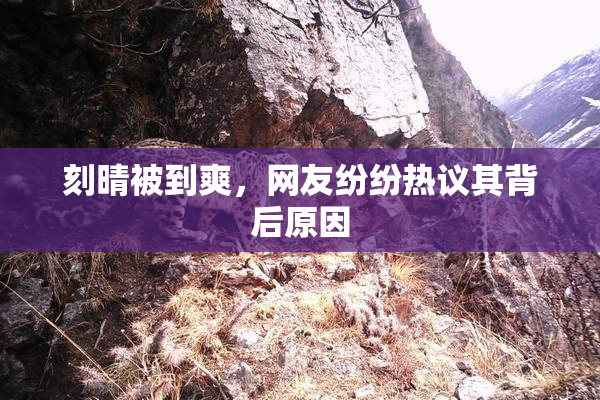 刻晴被到爽，网友纷纷热议其背后原因