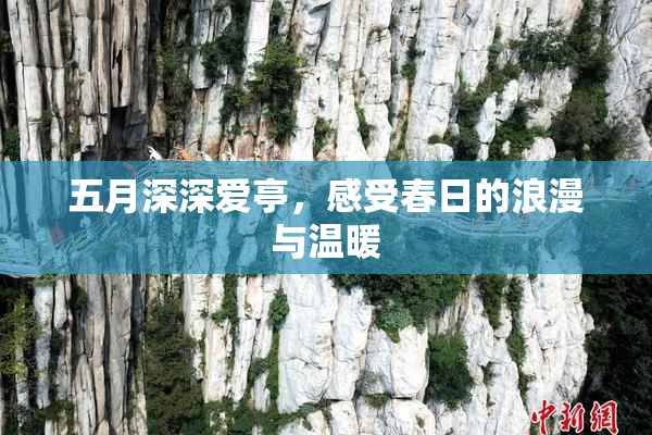 五月深深爱亭，感受春日的浪漫与温暖