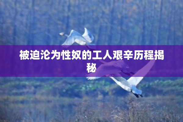 被迫沦为性奴的工人艰辛历程揭秘