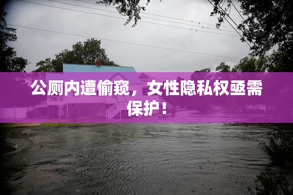 公厕内遭偷窥，女性隐私权亟需保护！