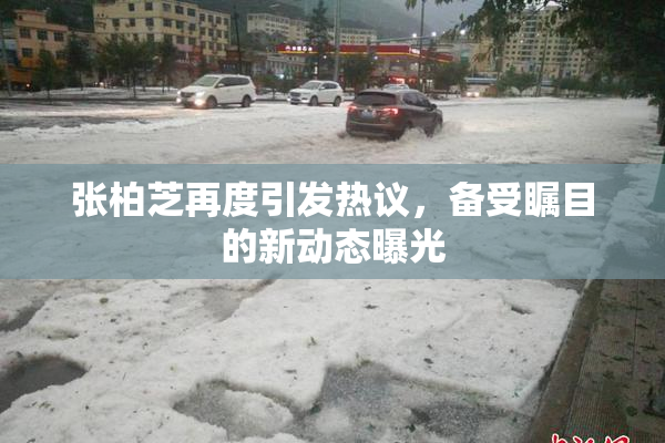 张柏芝再度引发热议，备受瞩目的新动态曝光