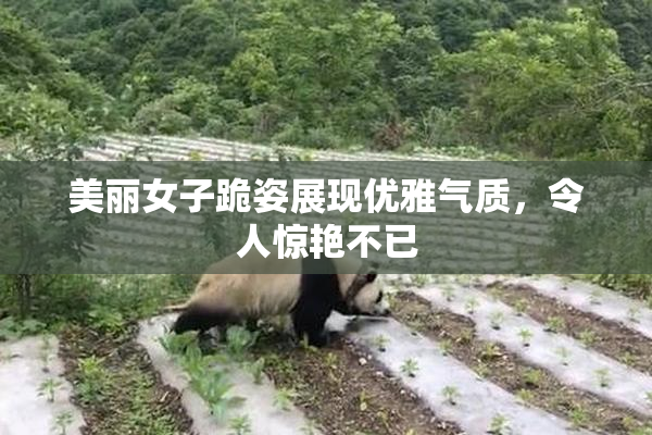 美丽女子跪姿展现优雅气质，令人惊艳不已