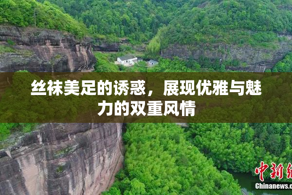 丝袜美足的诱惑，展现优雅与魅力的双重风情