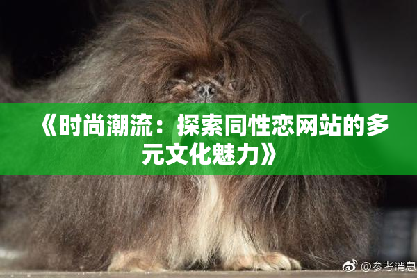 《时尚潮流：探索同性恋网站的多元文化魅力》