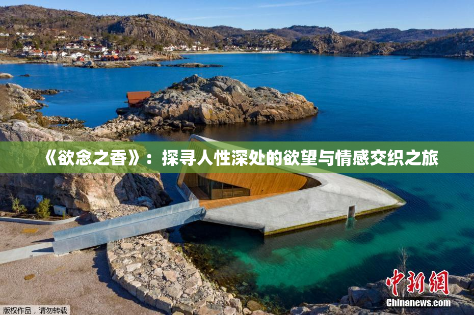 《欲念之香》：探寻人性深处的欲望与情感交织之旅