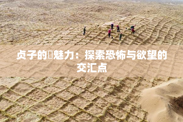 贞子的婬魅力：探索恐怖与欲望的交汇点