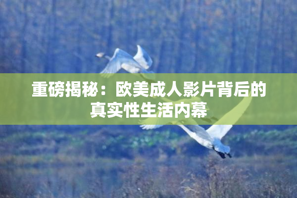 重磅揭秘：欧美成人影片背后的真实性生活内幕