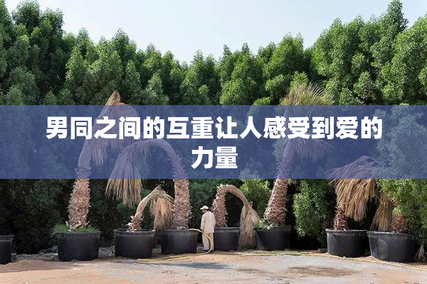 男同之间的互重让人感受到爱的力量