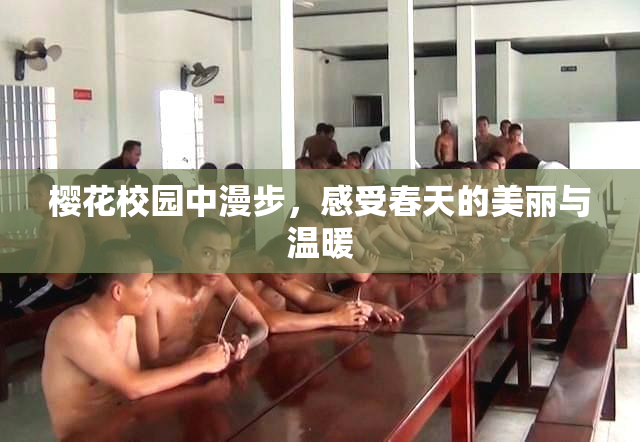 樱花校园中漫步，感受春天的美丽与温暖