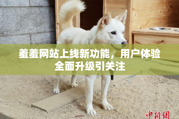 羞羞网站上线新功能，用户体验全面升级引关注