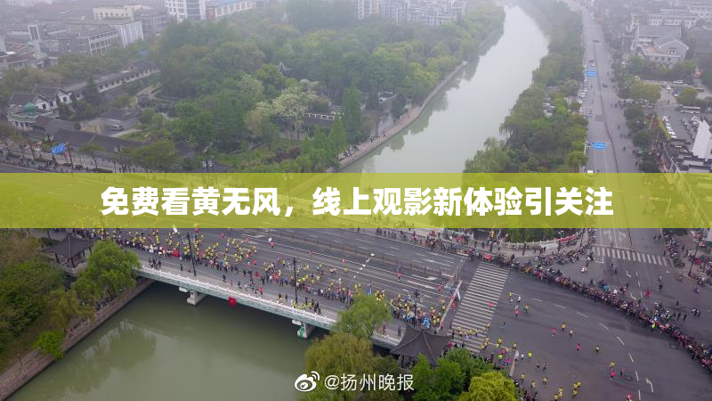 免费看黄无风，线上观影新体验引关注