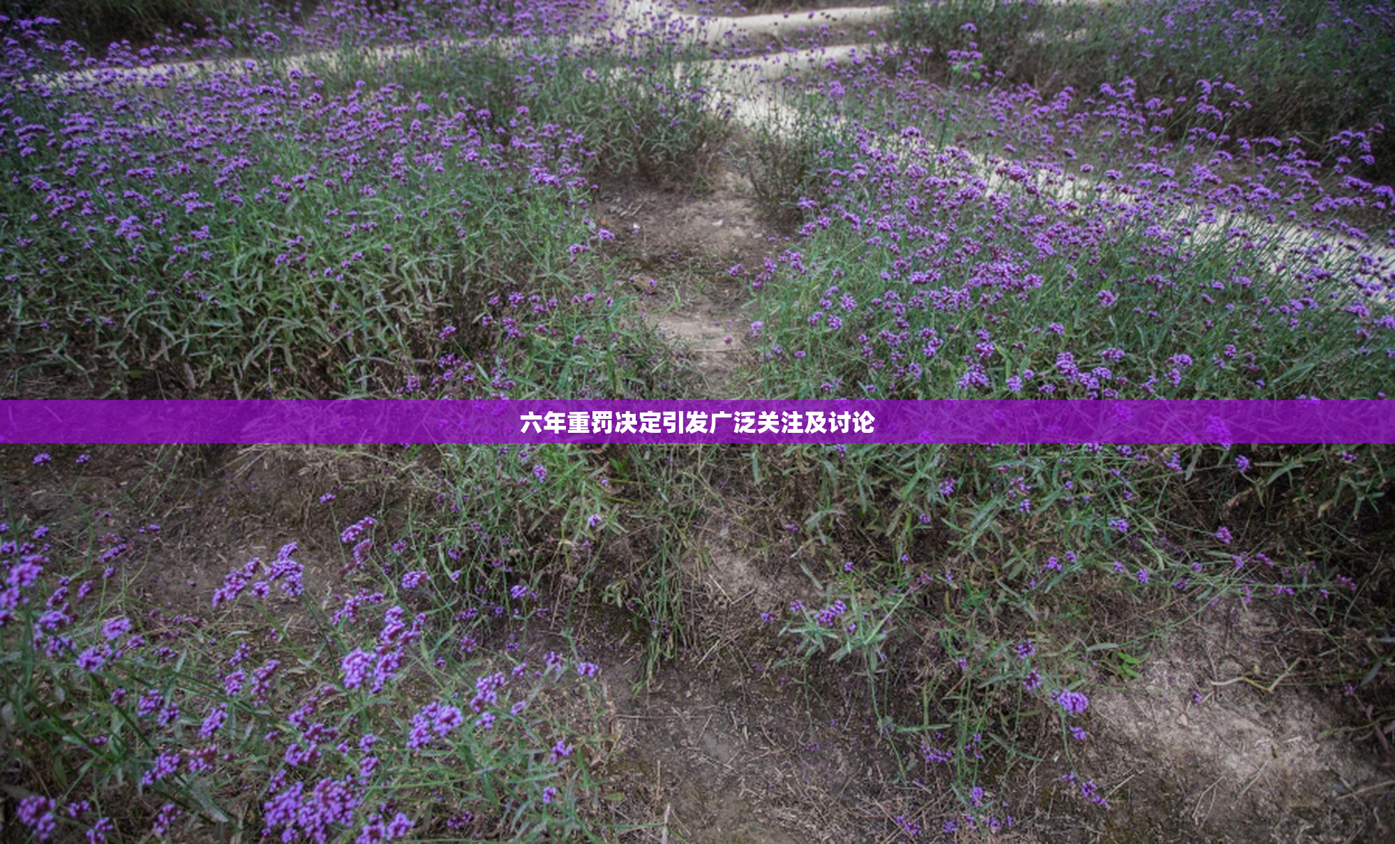 六年重罚决定引发广泛关注及讨论
