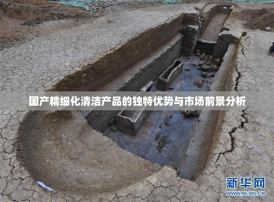 国产精细化清洁产品的独特优势与市场前景分析