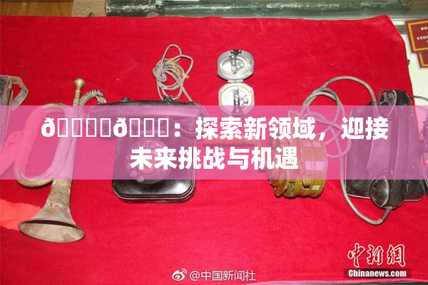🔞‌🍌：探索新领域，迎接未来挑战与机遇