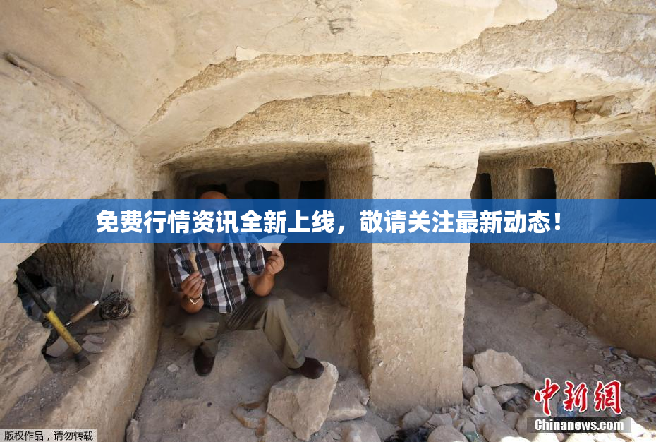 免费行情资讯全新上线，敬请关注最新动态！