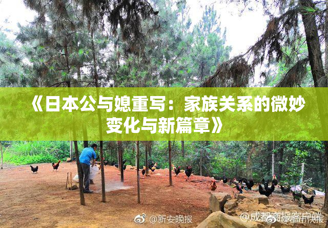 《日本公与媳重写：家族关系的微妙变化与新篇章》